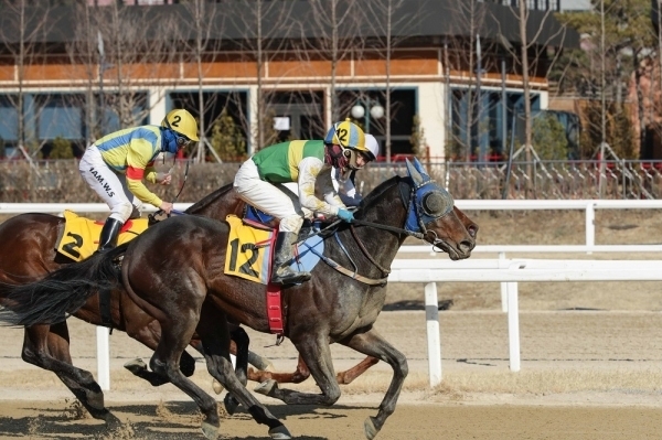 (사진=한국마사회)