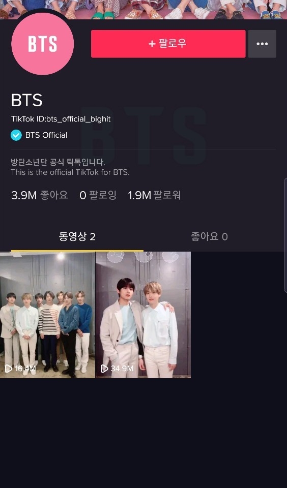 (사진=BTS 틱톡 캡처)