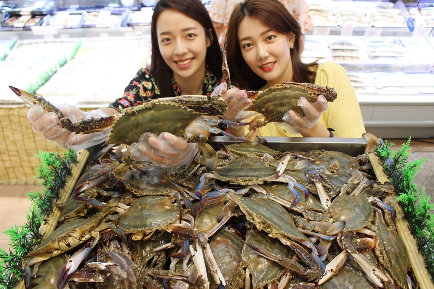 롯데마트는 지난 22일부터 다음달 2일까지 금어기가 끝나자마자 곧바로 어획한 신선한 햇 꽃게를 전점에서 선보인다. (사진=롯데마트)