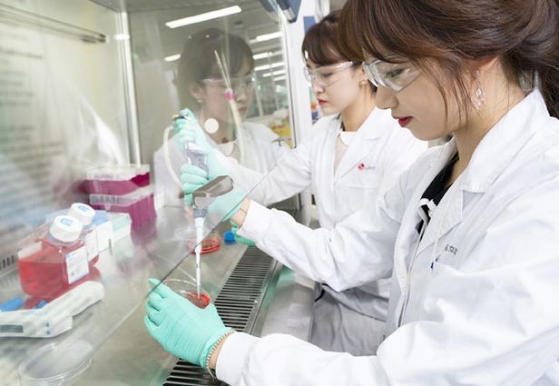 LG화학 생명과학사업본부 직원들이 신약 개발 연구를 하는 모습. (사진=LG화학)