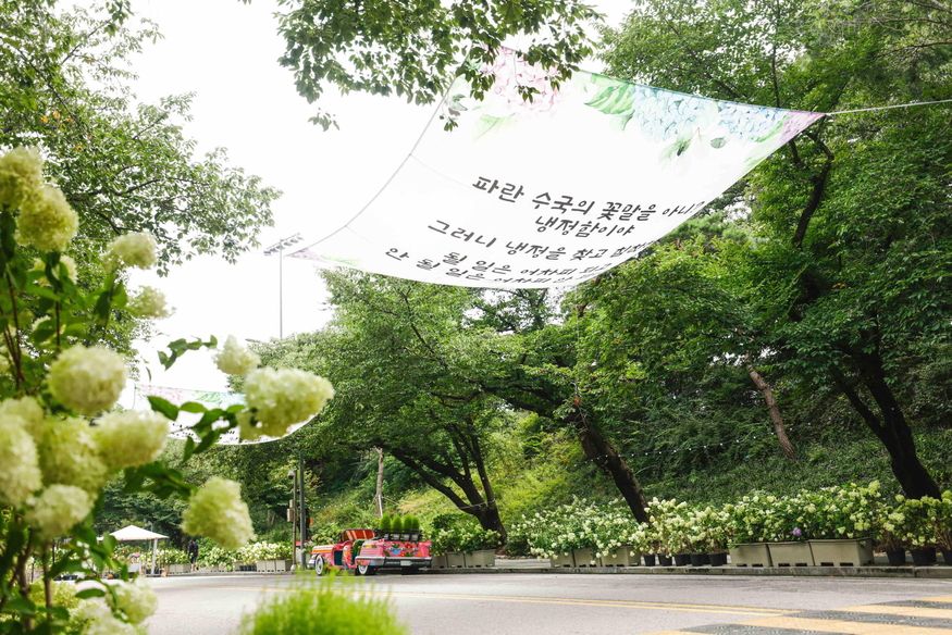 마사회는 올해 서울경마공원 수국축제를 개최한다. (사진=마사회)