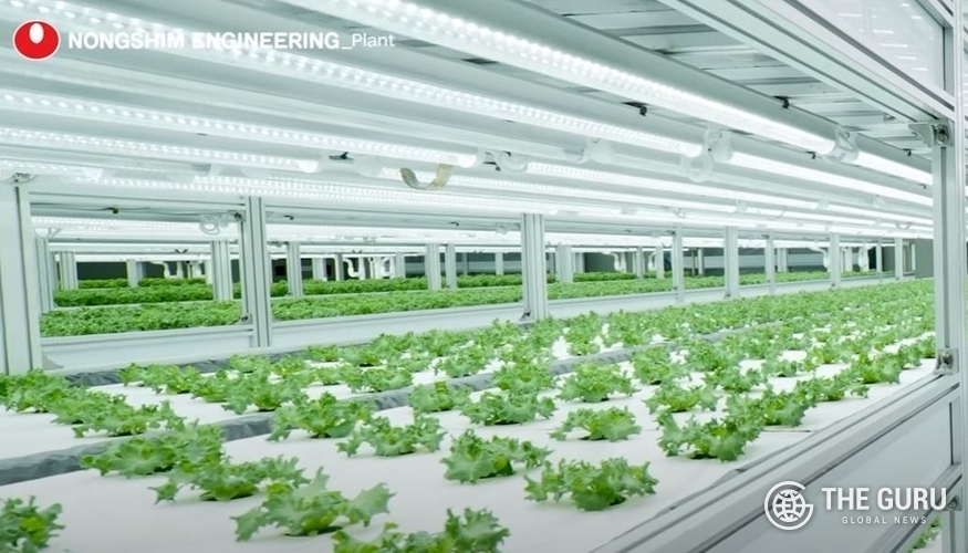 농심이 걸프협력기구(GCC) 회원국과 '수직 농장'(vertical farming) 사업에 대해 논의 중이다. 사진은 수직 농장 관련 사진.(사진=농심엔지니어링)
