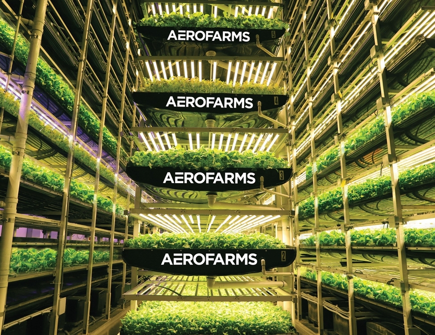 실내농업 기업 에어로팜스(AeroFarms)가 운영하는 실내농장 모습. (사진=에어로팜스)