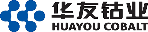 중국 화유코발트의 CI(기업이미지). (사진=화유코발트)