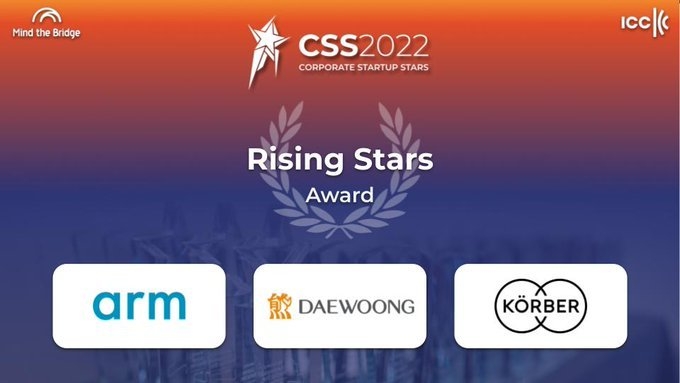 대웅제약이 CCS어워즈 '라이징 스타' 부문에서 수상했다.(사진=CSS어워즈)