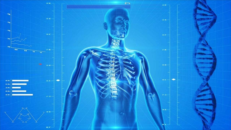 세계 최고 의료기관 메이요 클리닉(Mayo Clinic)이 구글 의료용 거대 언어 모델 'Med-PaLM 2'를 검증한다. 사진은 기사 내용과 관련 없음.(사진=픽사베이)