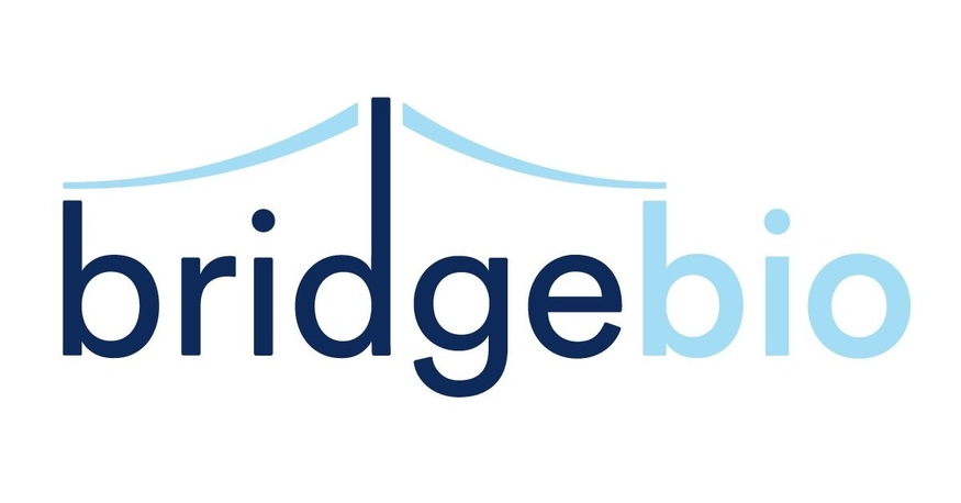 미국 바이오기업 브릿지바이오 파마(BridgeBio Pharma)가 희귀 유전질환 치료제 'BBP-418'이 미국 식품의약국(FDA)으로부터 신속 승인받을 수 있도록 역량을 집중한다. (사진=브릿지바이오 파마)