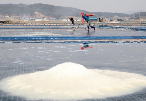 충남 태안 염전에서 천일염을 생산하고 있다. (사진=태안군)