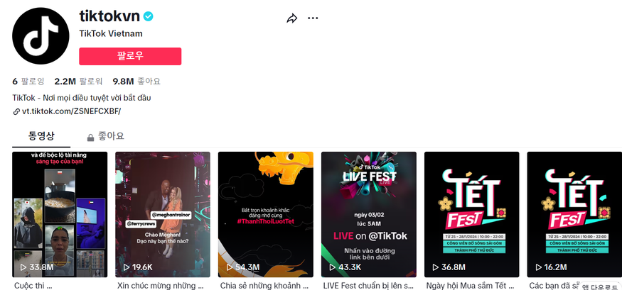 틱톡이 베트남 전자상거래 부문에서 동남아 최대 온라인 쇼핑 플랫폼 쇼피(Shopee)에 이어 2위를 기록했다. (사진=틱톡숍)