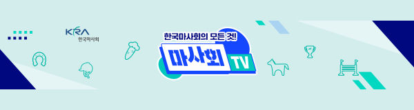배너
