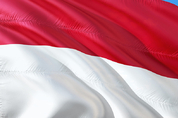 ‘니켈 보유·생산 세계 1위’ 인도네시아, 가격 통제 나선다
