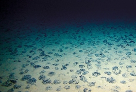 “심해 채굴로 해양 생태계 파괴” 美 심해 채굴 제동 걸리나