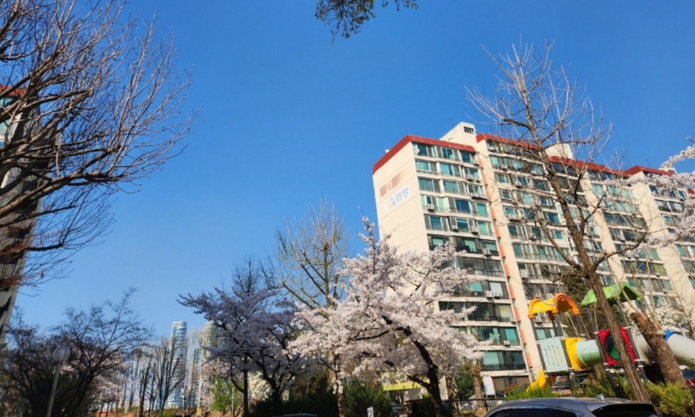 [르포] 일주일 남은 압구정 5구역 입찰 '現代 제국 완성' vs '아크로 반격' 누가 이길까