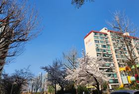 [르포] 일주일 남은 압구정 5구역 입찰 '現代 제국 완성' vs '아크로 반격' 누가 이길까