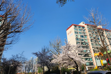 [르포] 일주일 남은 압구정 5구역 입찰 '現代 제국 완성' vs '아크로 반격' 누가 이길까