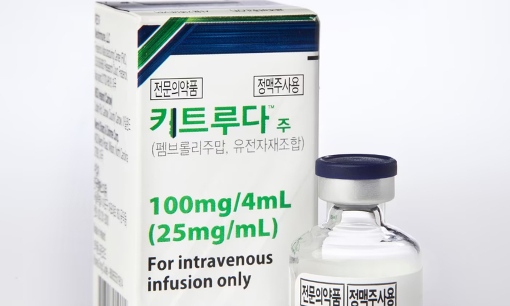 45조 ‘키트루다’ 특허 만료 임박…K바이오 vs 글로벌 빅파마 ‘4파전’ 격돌