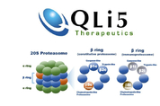 큐리언트 獨 자회사 QLi5, 140억 투자 유치…다올 참여