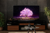 美 OLED 시장 고속 성장…사용처 다변화