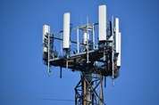 '경쟁 치열하다더니'…5G 기밀 훔친 前 소프트뱅크 직원, 日경찰에 체포