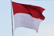 '팜유 세계 톱2' 인도네시아·말레이시아, 바이오디젤 사용 확대