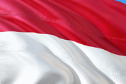 '세계 최대 니켈 생산' 인도네시아, 10대 광산 회사 리스트 보니