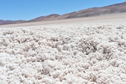 '세계 1위 매장국' 칠레, 리튬 청사진 나왔다