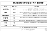 SK, 지난해 中 특허 1133건 승인…SK하이닉스 '강유전체' 차세대 메모리 IP까지 확보