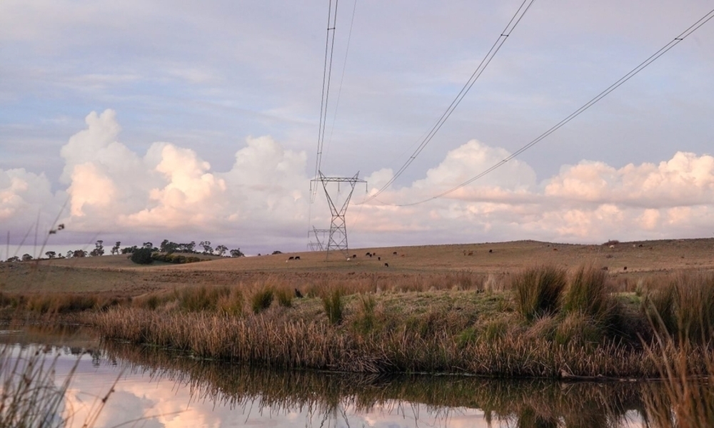 삼성물산 vs GS·현대건설, 3.5조 호주 전력 인프라 사업 수주전 격돌