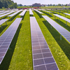 美 태양광 기업 143곳 '인허가 승인 동결' 해제 촉구