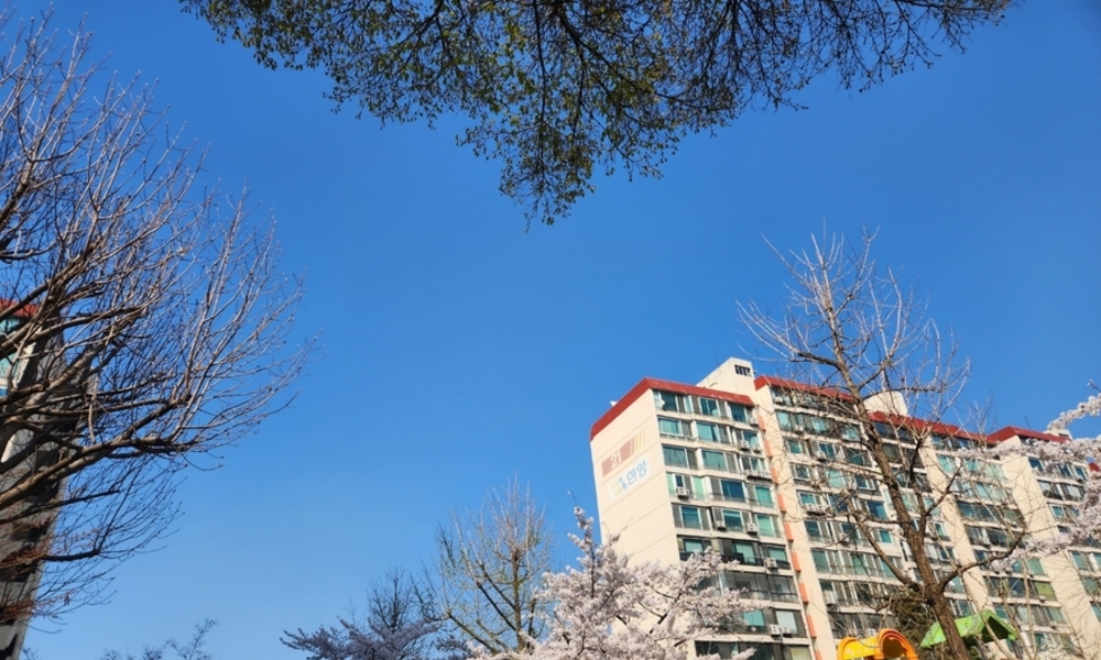 [르포] 일주일 남은 압구정 5구역 입찰 '現代 제국 완성' vs '아크로 반격' 누가 이길까