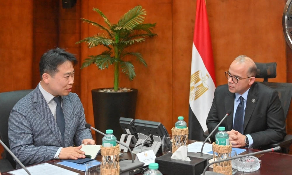 이집트 정부, 삼성전자·LG전자에 현지화 압박…공급망까지 요구 확대