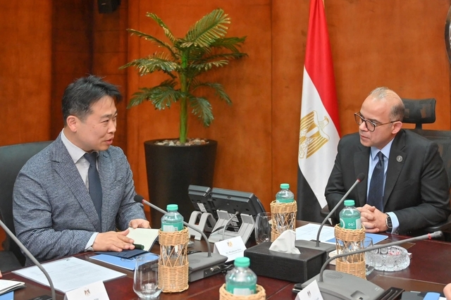 이집트 정부, 삼성전자·LG전자에 현지화 압박…공급망까지 요구 확대