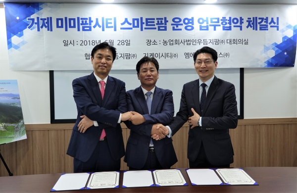 (좌측부터)지케이시티 금봉린 대표,우듬지팜김호연 대표,엠에스파트너스홍정의 대표가 “거제 미미팜시티”스마트팜 재배단지 운영사 참여를 위한 업무협약을 체결하고 있다. (좌측부터)지케이시티 금봉린 대표,우듬지팜김호연 대표,엠에스파트너스홍정의 대표가 “거제 미미팜시티”스마트팜 재배단지 운영사 참여를 위한 업무협약을 체결하고 있다.