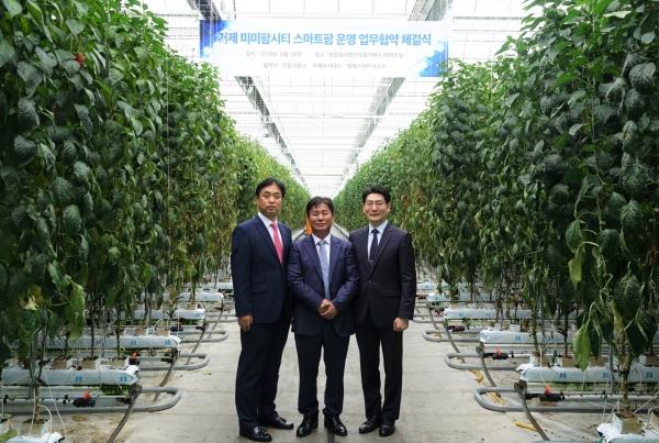 충남 부여에 위치한 우듬지팜에서 (좌측부터)지케이시티 금봉린 대표,우듬지팜김호연 대표,엠에스파트너스홍정의 대표가 “거제 미미팜시티”스마트팜 재배단지 운영사 참여를 위한 업무협약을 체결했다. 충남 부여에 위치한 우듬지팜에서 (좌측부터)지케이시티 금봉린 대표,우듬지팜김호연 대표,엠에스파트너스홍정의 대표가 “거제 미미팜시티”스마트팜 재배단지 운영사 참여를 위한 업무협약을 체결했다.
