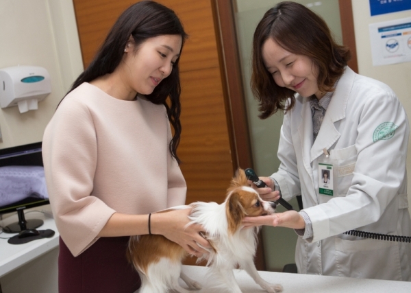 건국대가 서울시와 함께 캠퍼스타운 반려동물 문화의 거리 시범 사업을 펼친다 건국대가 서울시와 함께 캠퍼스타운 반려동물 문화의 거리 시범 사업을 펼친다