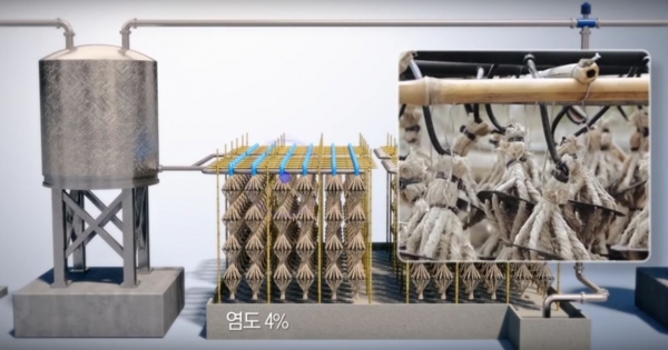 로프솔트코리아 무인 염전 로프솔트코리아 무인 염전